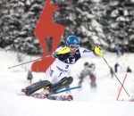 Hahnenkamm-Rennen-Slalomfahrer-mit-Gams.JPG